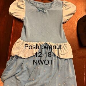 Posh Peanut cinderella dress